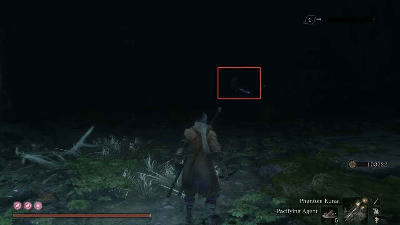 Sekiro Cave Entrance Sunken Valley