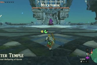 Zelda Tears of the Kingdom Mucktorok