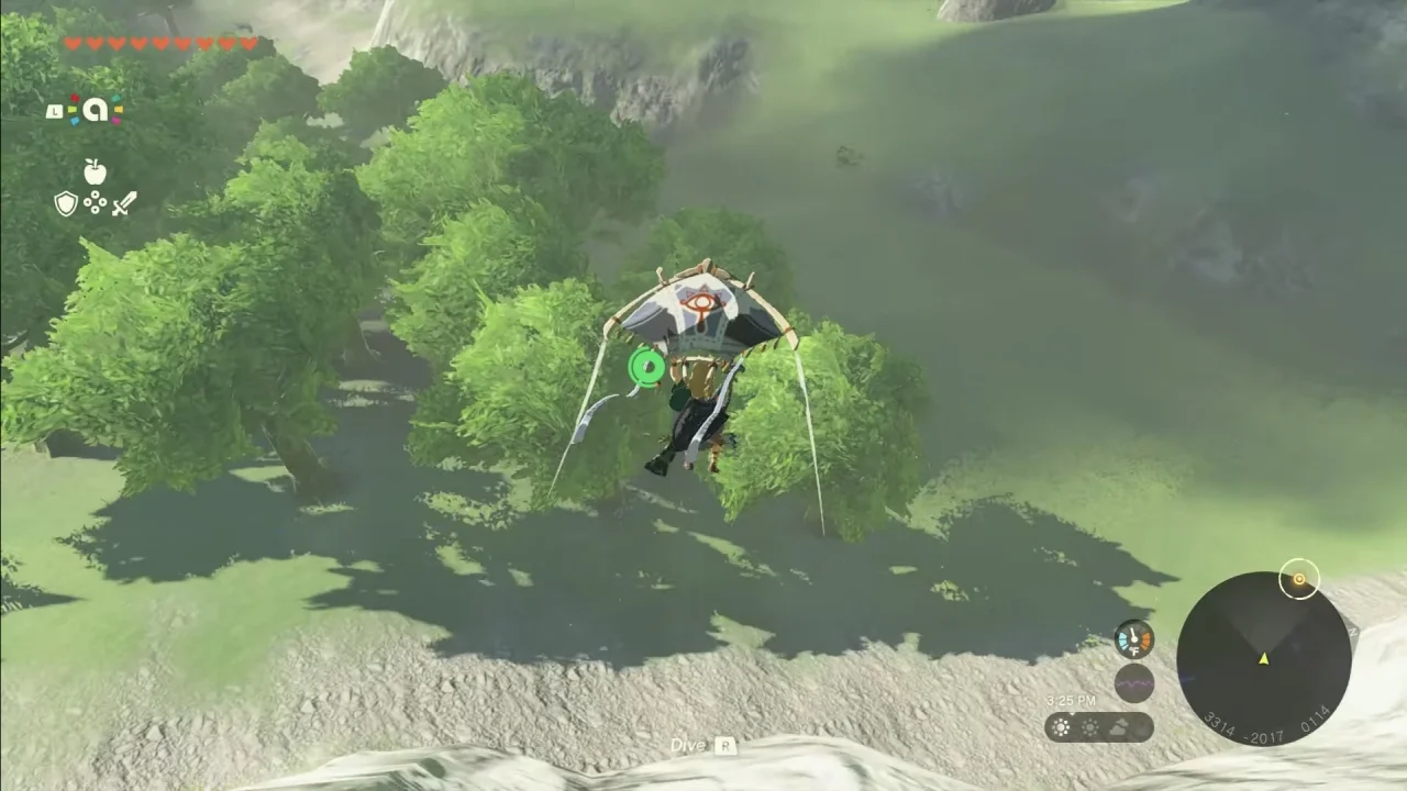 Zelda Tears of the Kingdom Paraglider