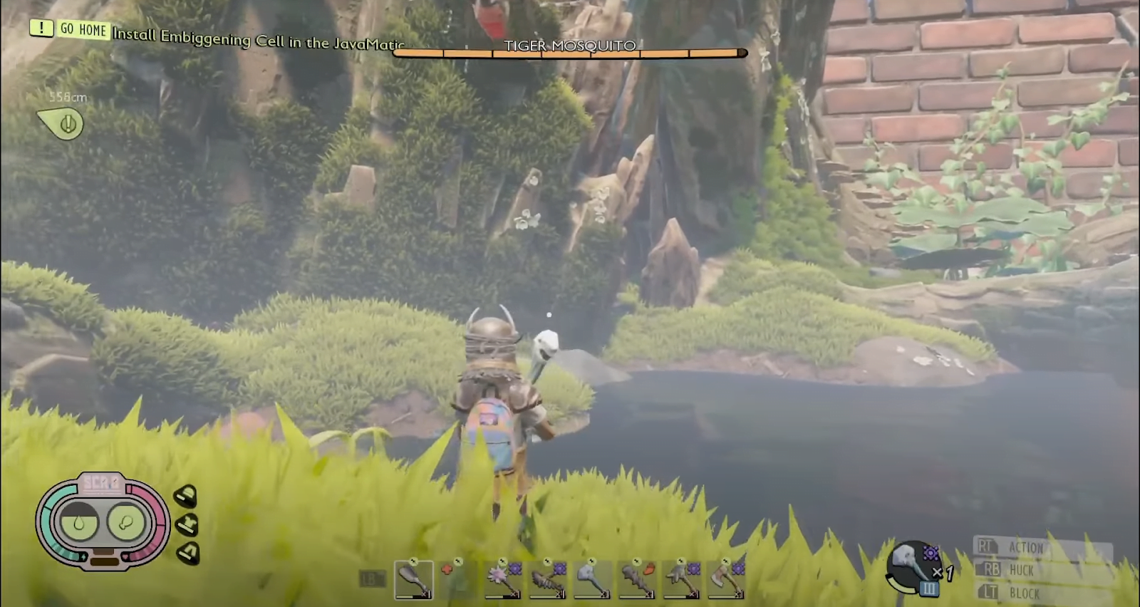 Grounded pond moss Where to find it and how to harvest it?