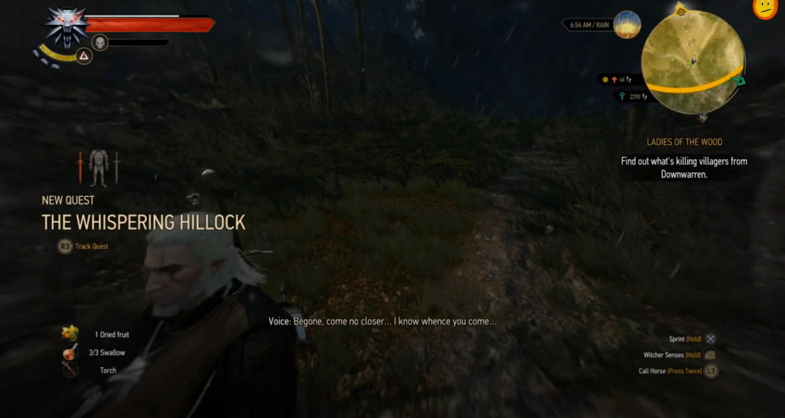 The Whispering Hillock - The Witcher 3 (Full Guide)
