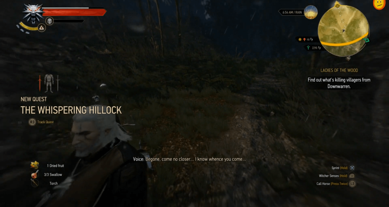 The Whispering Hillock The Witcher 3 (Full Guide)