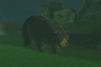 Where to Find Bears in The Legend of Zelda Tears of The Kingdom